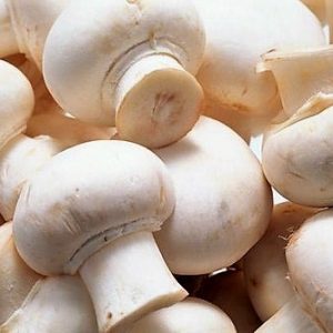 MUSHROOM FRESH BY BOX 2.5kg
