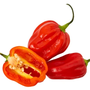 Fresh Scotch Bonnet Chilli   2KG hot pepper