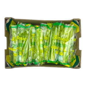 LEAF CELERY 5KG