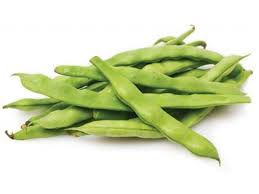 GREEN FLAT  BEANS / YESIL TURK  FASULIYESI 4KG