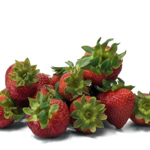 Strawberry Fresh Black  Box 12x400