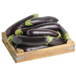 AUBERGINE   1 x 5 Kg