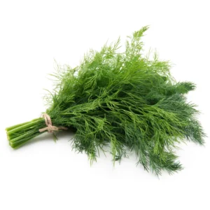 FESH DILL BY  1X BUNCH OF DILL