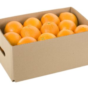 JUICING  SMALL ORANGE BY BOX