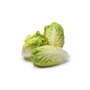 LITTLE GEM LETTUCE BY BOX X16 PCS