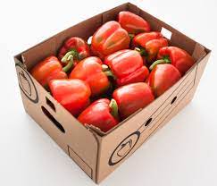 RED CUP PEPPERS BY  BOX 5KG