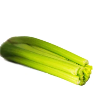 FRESH SHORT CELERY      1 x BOX