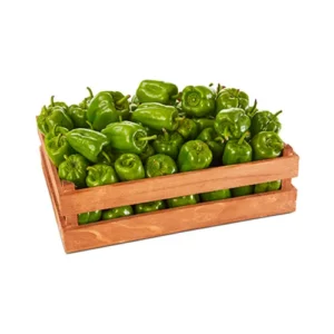 DOLMALIK YESIL BIBER BY BOX